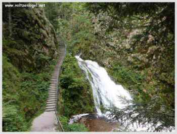 Rivière Lierbach : Chutes d'eau et sentiers pittoresques