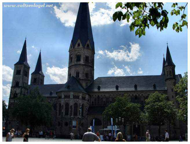 Vue panoramique de Bonn, ville culturelle au bord du Rhin