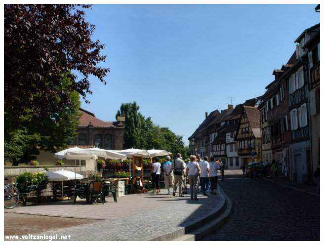 tourisme à Colmar en Alsace