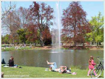 Charme paisible: Foule estivale, détente, recoins tranquilles, Parc de l'Orangerie