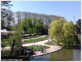 Zoo du Parc de l'Orangerie, foyer des cigognes alsaciennes