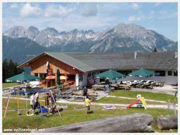 Luge d'Été: Excitation dans les Alpes