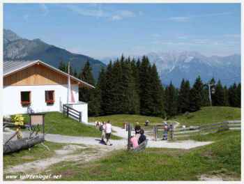 Frénésie Alpine: Descente en Luge Mieders