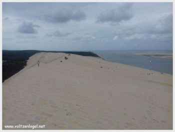 Escalade sur la Dune du Pilat