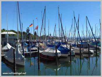 Friedrichshafen: attractions variées pour tous