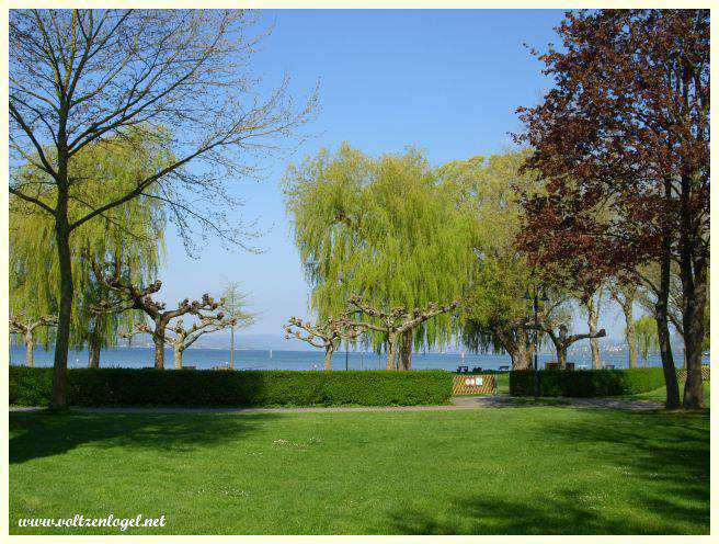 Randonnée le long du lac de Constance : entre paysages spectaculaires et tranquillité.