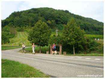 Sentiers d'Andlau : nature, histoire, panoramas et accessibles