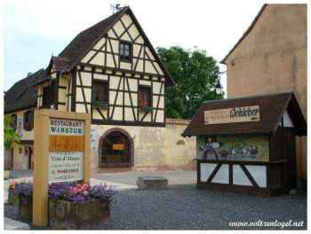 Marcheurs et visiteurs célèbrent l'Alsace authentique à Andlau