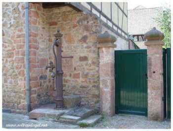 Dynamisme d'Andlau : Amis du Château d'Andlau et patrimoine