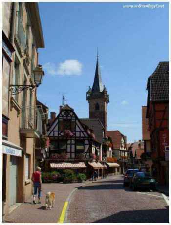 Kappelturm emblématique: Vue sur toits, symbole résilience d'Obernai