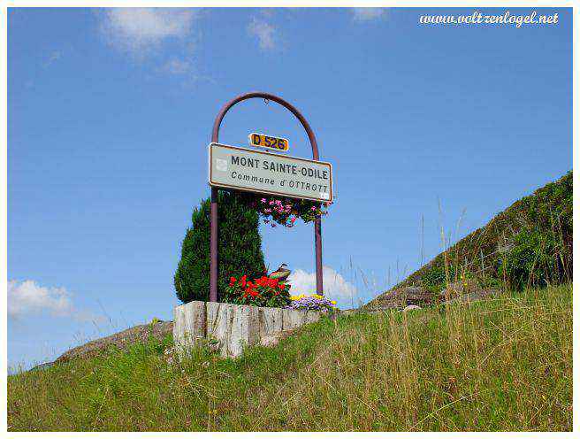 Chemins de randonnée et villages pittoresques au pied du Mont Sainte-Odile.