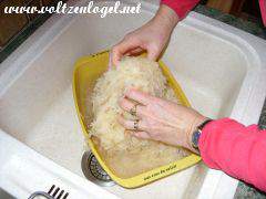 Laver la choucroute: Texture blanche, lavage à l'eau froide - étape cruciale de préparation
