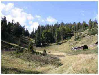 Paysages alpins à couper le souffle à Steinberg Am Rofan