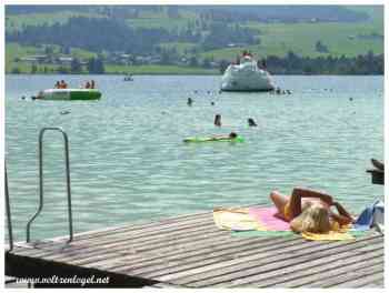 Activités en plein air : forêt du lac Walchsee, détente et aventure.