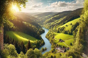 Paysage verdoyant de la Forêt Noire en Allemagne