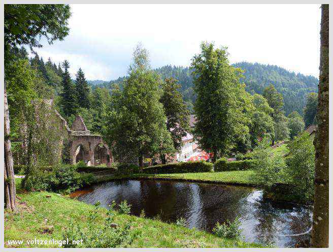 Paysage luxuriant de la Forêt Noire en Allemagne