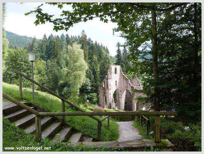 Vue panoramique sur les cascades et les forêts verdoyantes