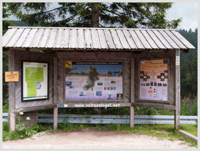 Sasbachwalden en Forêt Noire