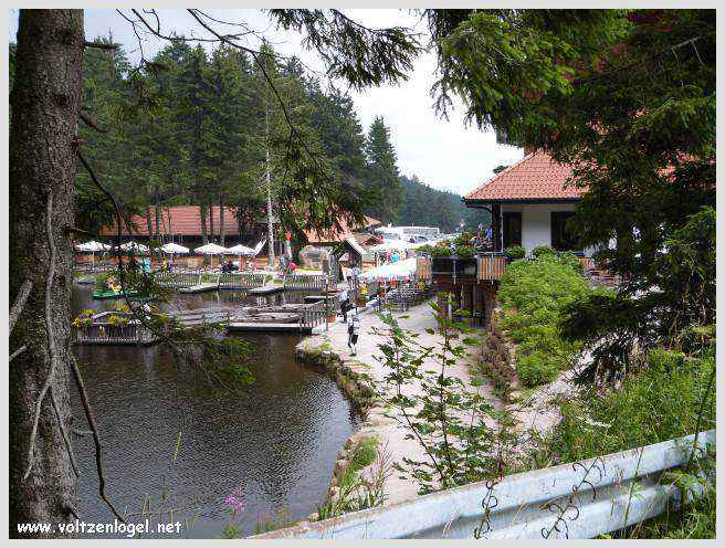 Maisons à colombages : Témoins de l'histoire de Sasbachwalden.