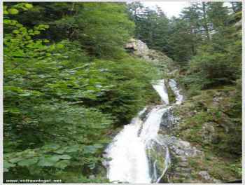 Sentier vers les cascades du Lierbach, Forêt-Noire