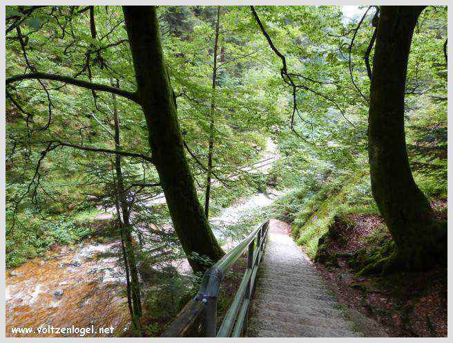 Cascade d'Allerheiligen: Beauté naturelle et histoire ancienne en harmonie.