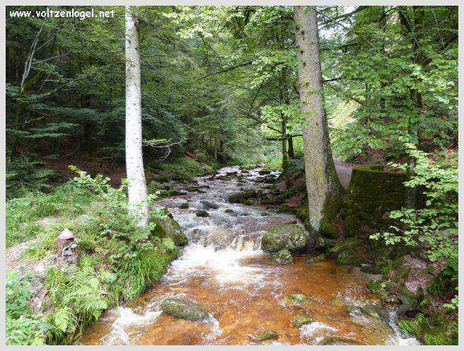 Cascades d'Allerheiligen en Forêt Noire : beauté naturelle