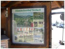 Seebach im SchartzWald, lac de montagne en allemagne