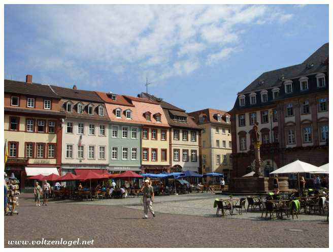 Place du marché animée au cœur de Heidelberg
