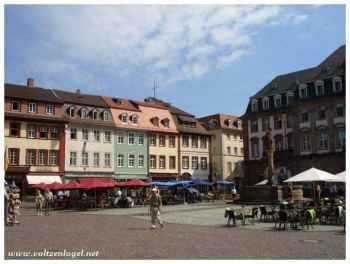 Élégance historique et monuments de la Place du Marché à Heidelberg
