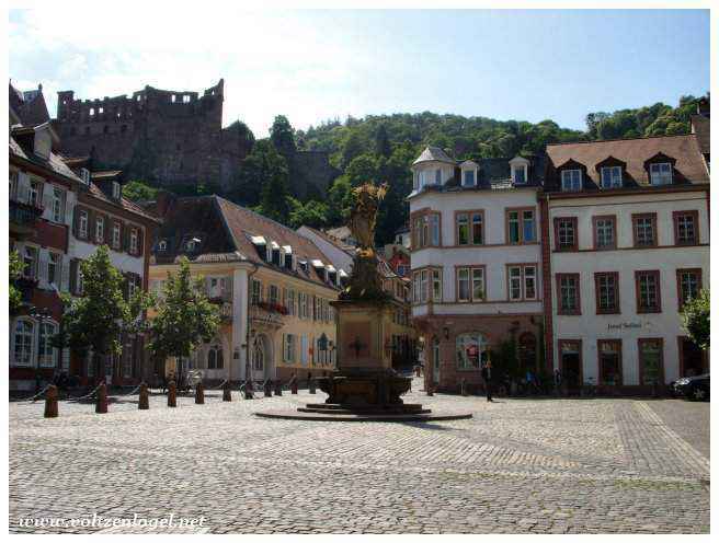 Rives paisibles du Neckar au coucher du soleil