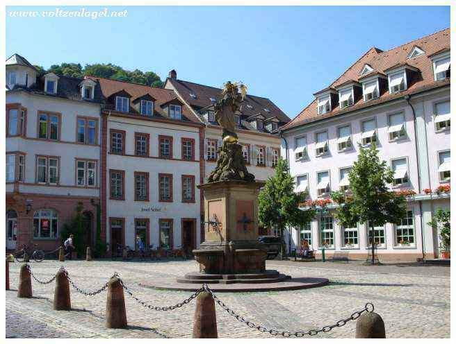 La ville de Heidelberg au Bade-Wurtemberg. La vallée du Neckar