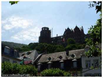 Majesté médiévale du Château de Heidelberg, ruines au sommet de la colline