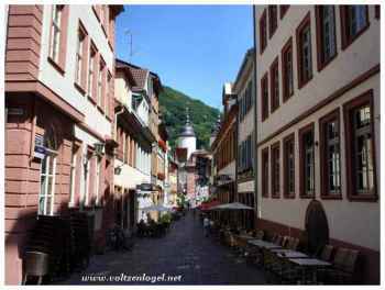Vue panoramique depuis le parc du Château de Heidelberg, inspirant et pittoresque