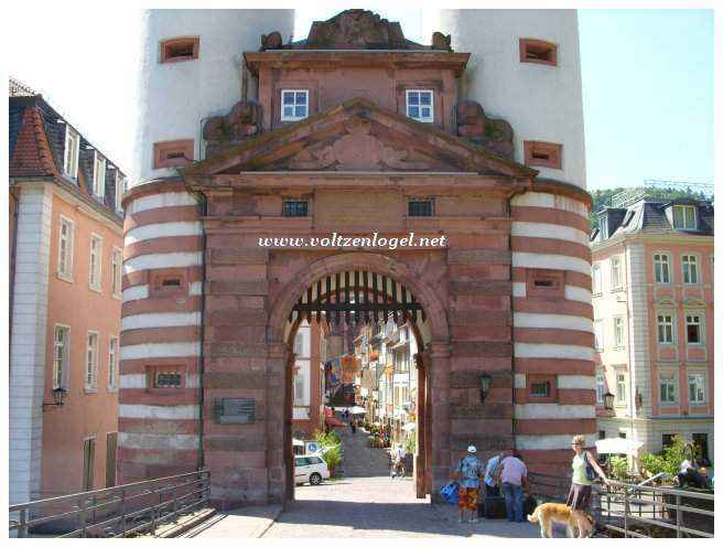 Château de Heidelberg, symbole historique.