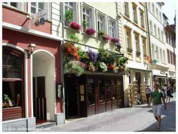 Vue captivante de Heidelberg montrant ses charmes historiques et culturels