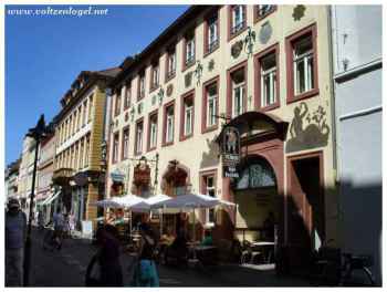 Balade contemplative le long du Philosophenweg à Heidelberg