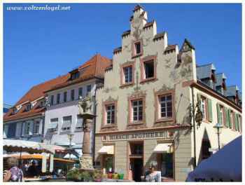 Histoire d'Offenbourg : Musées, ruelles charmantes et délices locaux