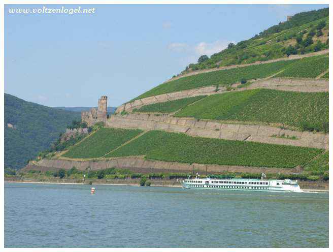 Rocher de Lorelei, symbole de la beauté naturelle du Rhin.