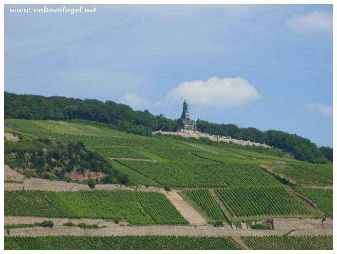 Vignobles pittoresques de Bingen, délices viticoles.