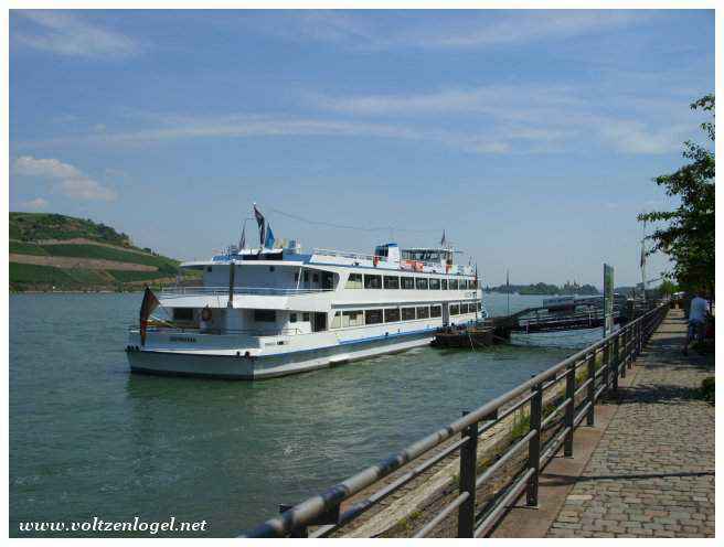 Visite guidée à travers les sites emblématiques du Rhin.