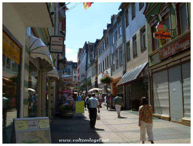 Bingen: Histoire et vignobles le long du Rhin.