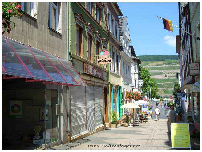 Croisière fluviale avec Bingen-Rüdesheimer: Aventure sur le Rhin.