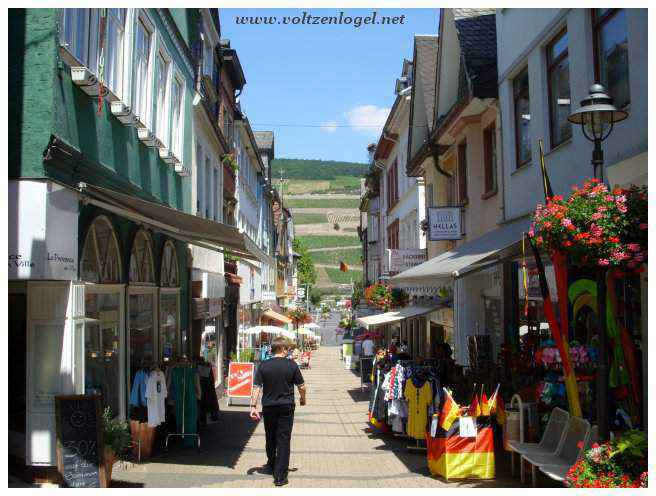 Exploration de la Vallée du Rhin: Paysages majestueux.