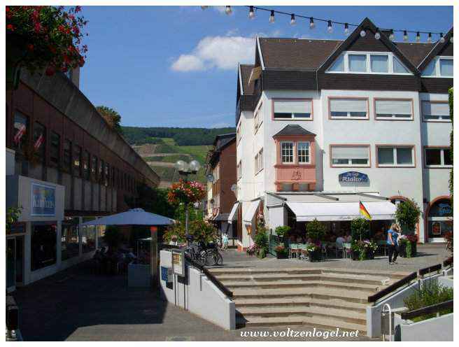 Paysages spectaculaires le long du fleuve Rhin