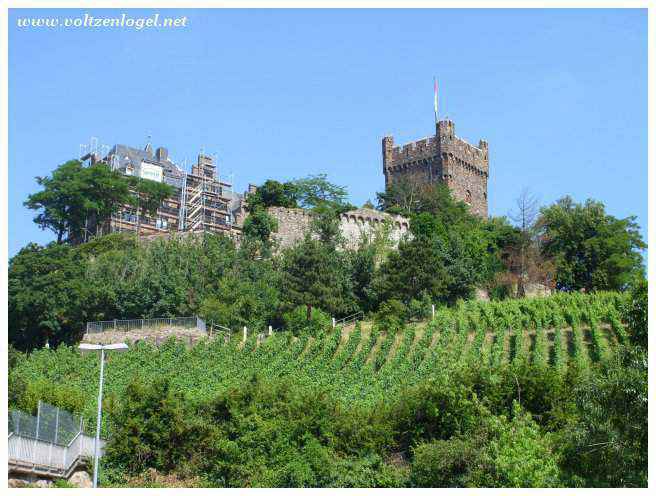 Vignobles Pittoresques de Bingen et du Rhin