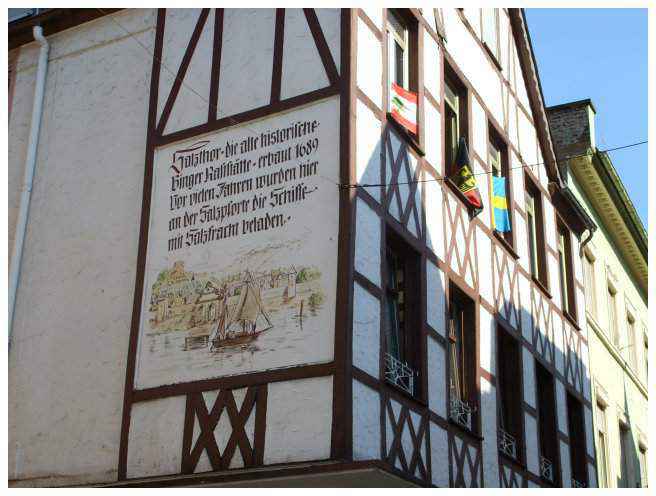 Nature et Paysages Envoûtants le Long du Rhin