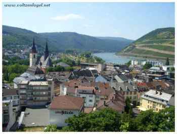 Vieille ville de Bingen : colombages et église Saint-Martin