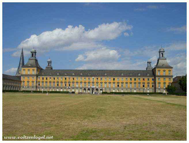 Musée de l'Histoire de Bonn, une immersion culturelle