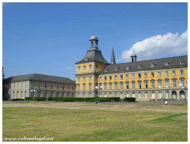 Maison de Beethoven, mémoire musicale de Bonn