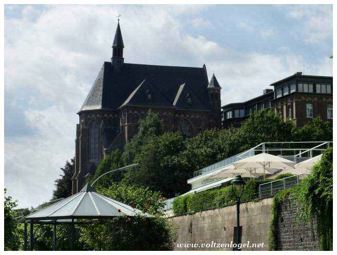 Croisière sur le Rhin avec vue pittoresque sur Bonn.